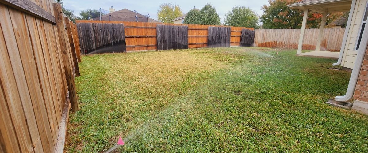 a green yard with a sprinkler in the corner spraying fresh water on a lawn in texas