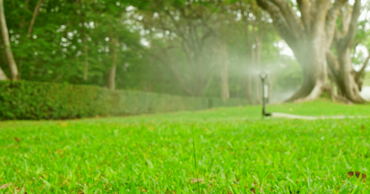 Sprinkler repair in process on a green lawn in a park with trees in the background on a misty day