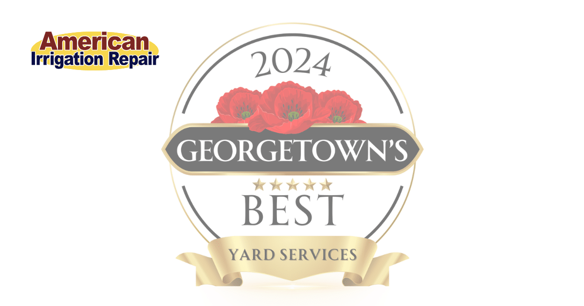 Georgetown's Best