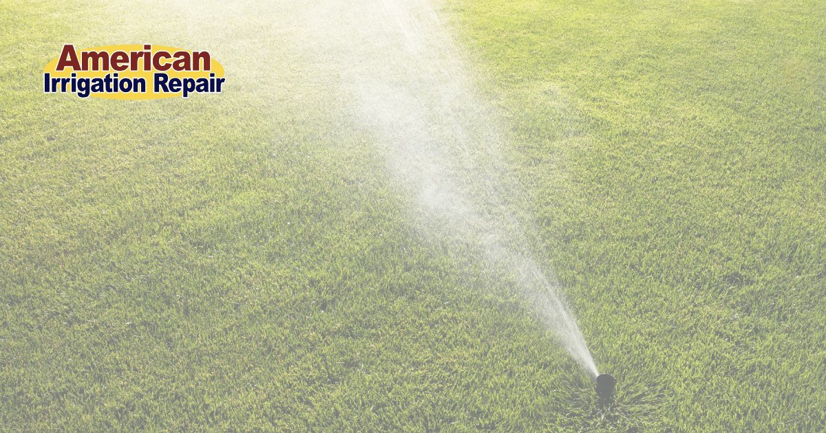 American Irrigation Repair grass